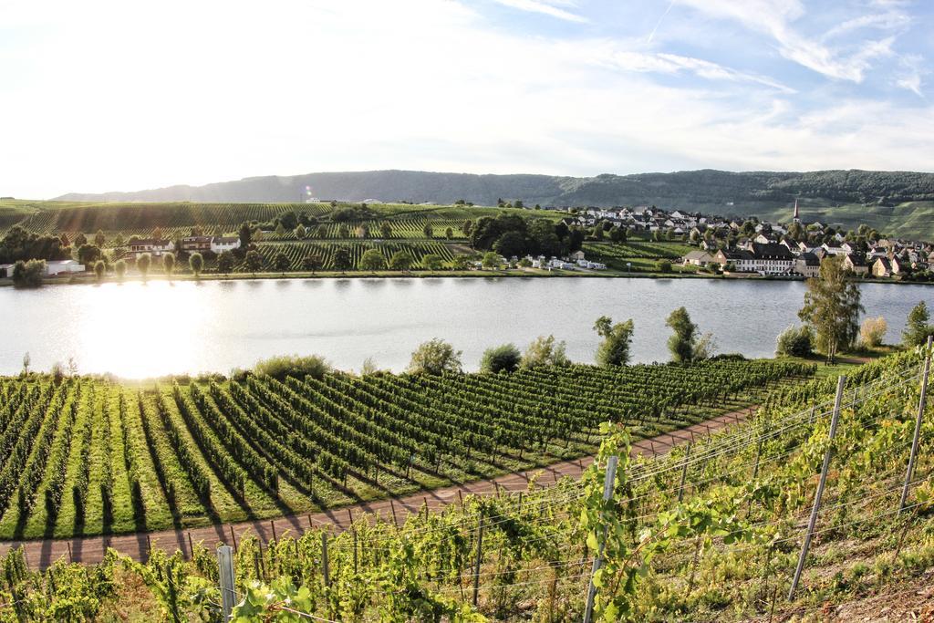 Hotel- Weingut- Moselloreley Piesport Eksteriør bilde